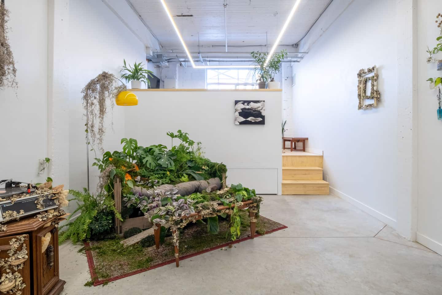 Peculiar Movements/Green Junctions at NAMARA projects